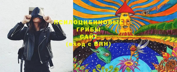 ПСИЛОЦИБИНОВЫЕ ГРИБЫ Бугульма
