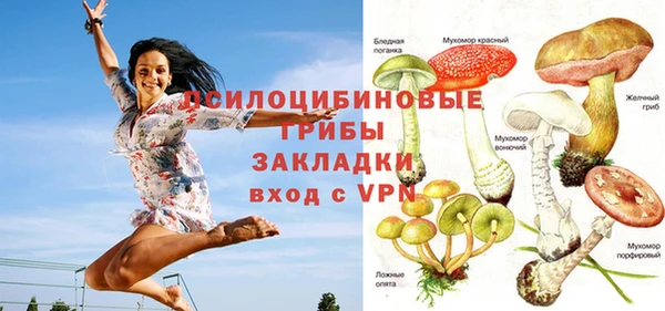 ПСИЛОЦИБИНОВЫЕ ГРИБЫ Бугульма