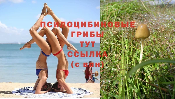 MDMA Premium VHQ Бородино