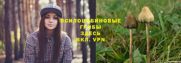 ПСИЛОЦИБИНОВЫЕ ГРИБЫ Бугульма