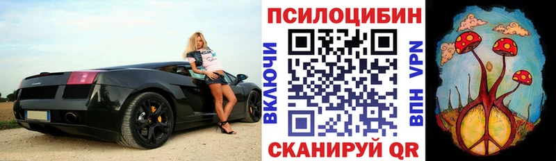 дарк нет наркотические препараты  купить наркотик  Санкт-Петербург  Псилоцибиновые грибы мухоморы 